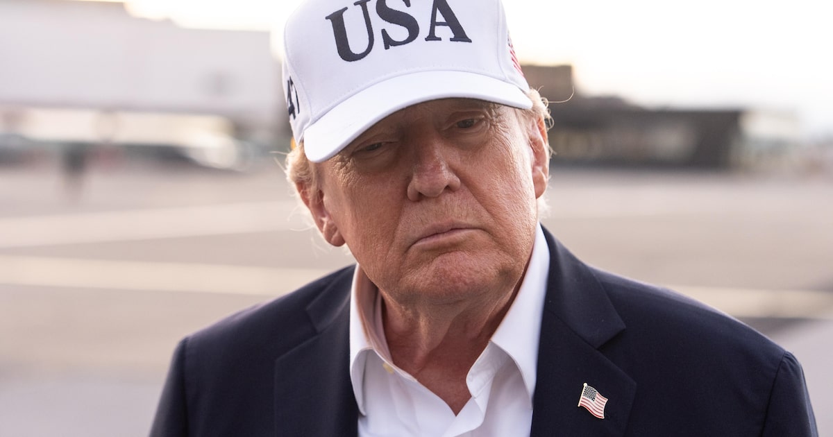 Trump fordert Vorabbenachrichtigung aus Brasilien über Verkäufe kritischer Mineralien zur Senkung des 50%-Zolls